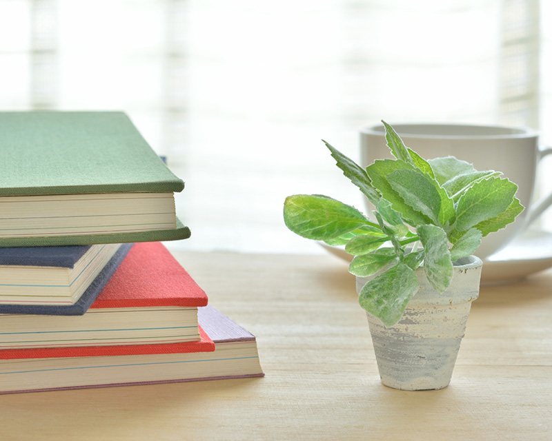 Stack of books with plant