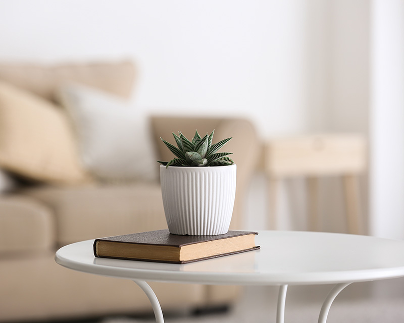 Flowerpot and book on a table